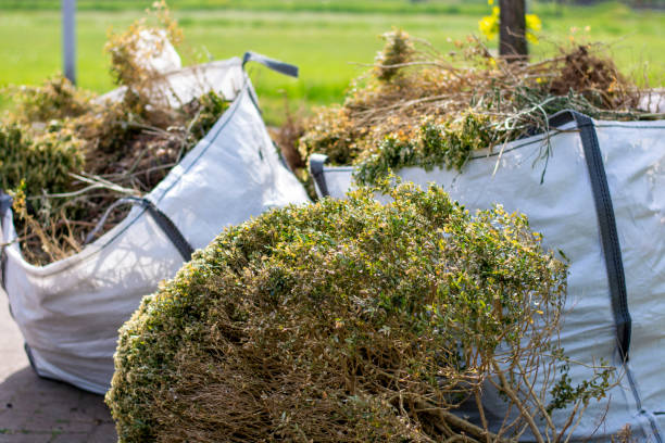 Best Junk Removal Near Me  in Buckhead, GA